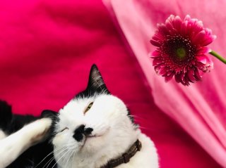 花屋がお宅訪問で実感！「お金持ちになるための12の約束事」