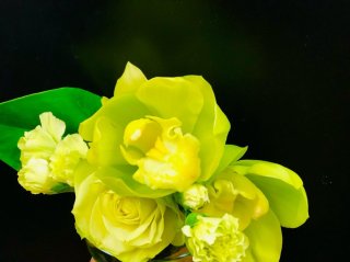 緑色は最強カラー （C）コクハク