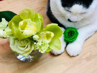 100均の花瓶って使いやすいみたいやで　byさぶ店長 （C）コクハク