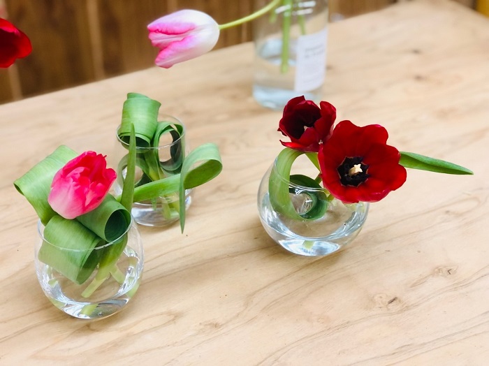 今回はチューリップお悩み解決の回（C）コクハク