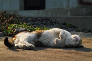 “たまたま”流リラックス法を伝授♡ 忙しい時ほど力を抜こう