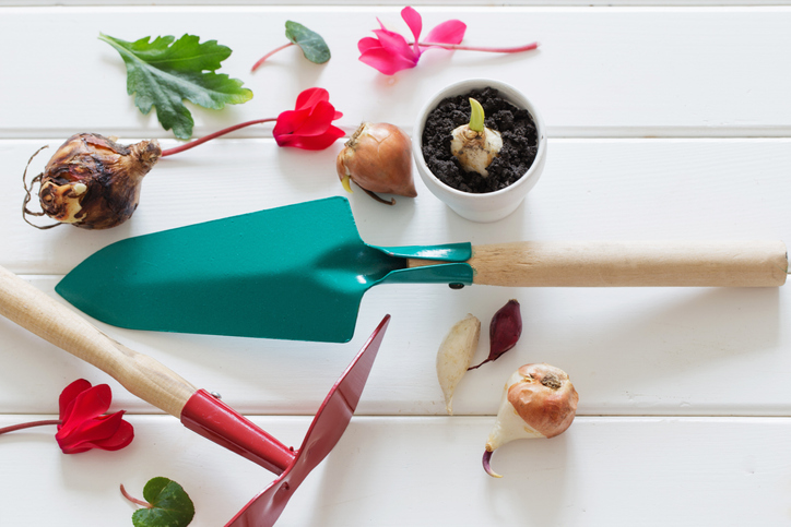 もう一度咲かせたいなら…（写真:iStock）