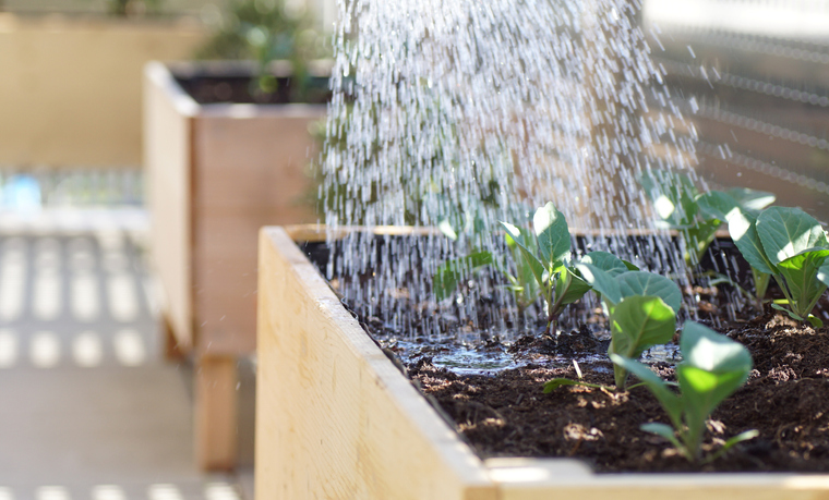 あげれば良いってもんじゃないみたい（写真:iStock）