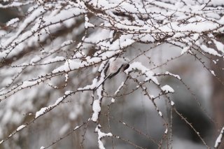 美術館で「名画の習作」から教えられたこと 2023.7.26（水）