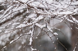 宇宙飛行士候補者のニュースにワクワクした 2023.4.12（水）