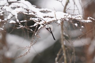 大谷くんから教えてもらった言葉の持つ力 2023.3.26(日)
