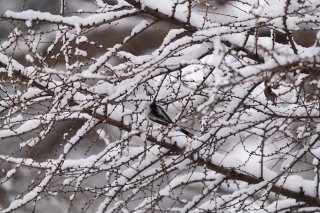 おとなと子どもの時間の流れ方は違うみたい 2023.3.22(水)