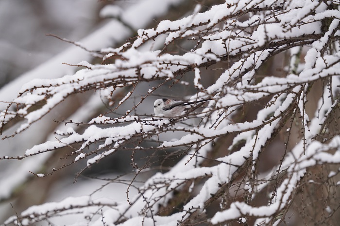 手を動かすって大事かも（Ｃ）小原玲