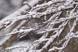 行き詰まった時は「料理」をするといいよ 2023.4.19（水）