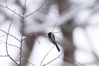 窓の外を眺めて1日が終わったっていい 2023.2.12（日）