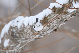 宇宙はすでに行こうと思えば行ける場所？ 2023.2.19（日）