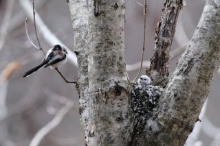 大人だって誰かに迎えに来てほしい日がある 2023.4.5(水)