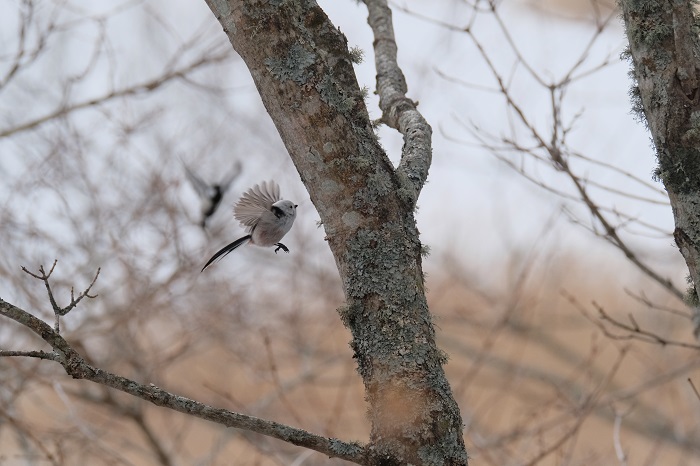 悪くないよね（Ｃ）小原玲