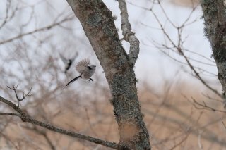 学生の頃に戻りたい日もあるけれど… 2023.3.12（日）