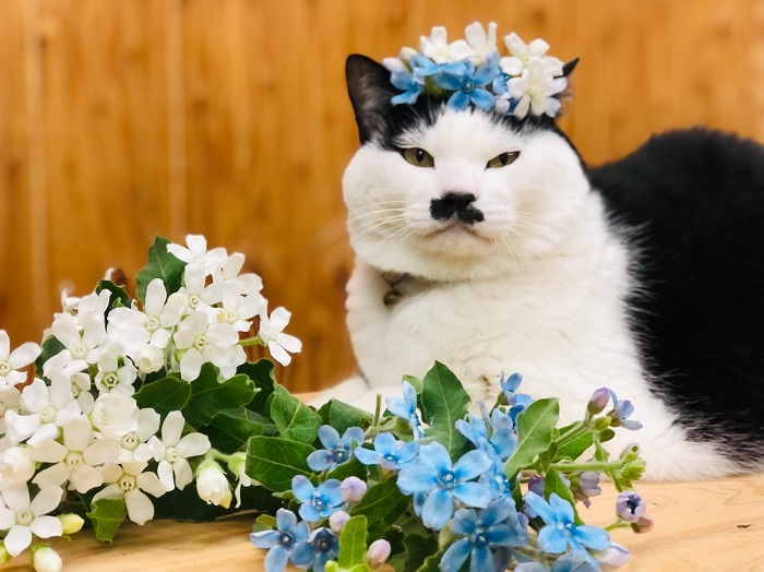 見目麗しいワシには花がよく似合うって自分でも思う　byさぶ店長 （C）コクハク