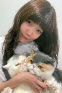 BiSHセントチヒロ・チッチ「ハクと坊のきょうだい猫は人を虜にする」