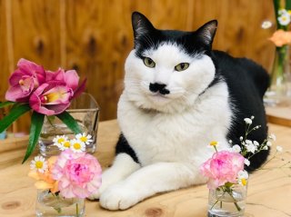 店頭に並ぶ「サービス花束」は分けて飾るのが正解！運気もUP