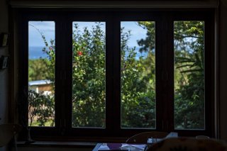 海と緑と南国の花が見える 安らぎの窓辺で 2023.5.26(金)