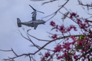 桜にオスプレイは似合わない 2023.3.10（金）