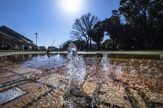 水の中に手を入れたくなるような日 2023.3.24(金)