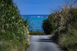 誰も歩かない小道、誰もいない海 2023.5.12（金）