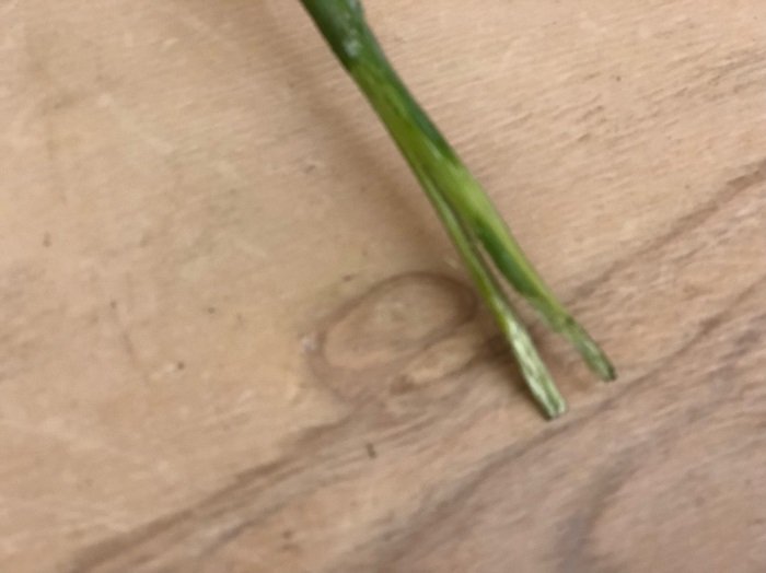 吸い口の面積を広くする／無断転載禁止（C）コクハク