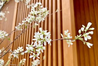 苦手な実母の新居訪問で事前に対策したこと 2023.4.1(土)