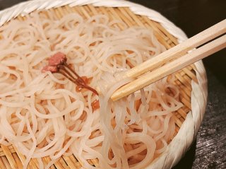 春恒例の「桜そば参り」今年も行ってきました 2023.4.6(木)