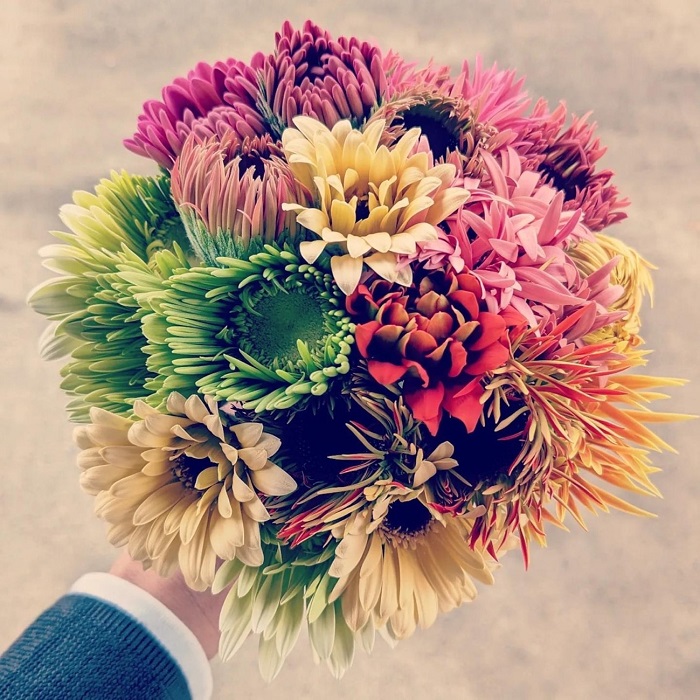 素敵なガーベラがありすぎる！（写真:ADORE FLOWCA）