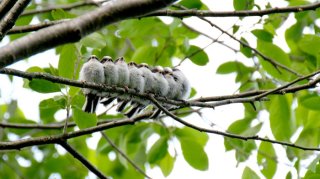 GWってなあに？ 2023.4.30（日）