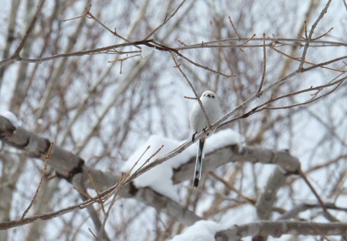 映画って本当にいいものですね（Ｃ）小原玲