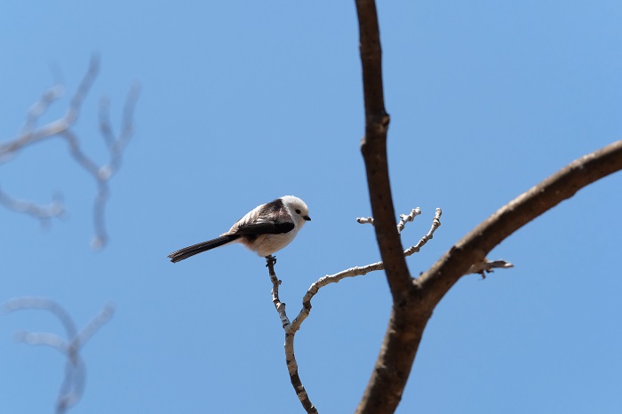 それはそれで大変ですよ（Ｃ）小原玲