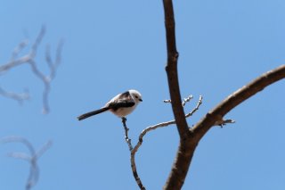 お休みは“いつか終わる”からこそ価値がある 2023.5.7（日）