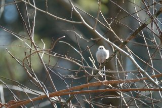 買い物って「小さな判断」の連続なんだ 2023.5.10（水）
