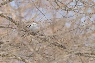 現実世界では一発逆転ってあんまり起きない 2023.5.3（水）