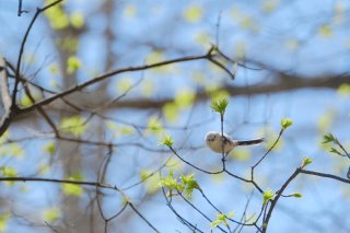 なぜか友達と予定が合わなくなるタイミング 2023.4.26（水）