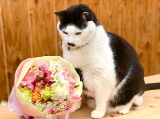 値上げにウンザリ！2023母の日のトレンド「お得な商品」が丸わかり