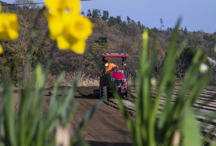 冬の間硬くなった土を掘り返す（写真:Koji Takano）