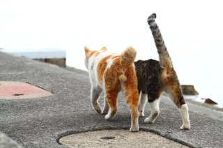 デート中“たまたま”を二度見! 上品かつ色気ムンムンで素敵