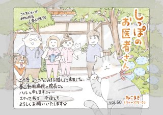 癒しの漫画／第50回「君のトモダチは、僕のトモダチ」