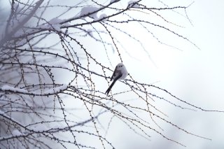 花火大会で浴衣姿の同級生にドキドキした 2023.5.28(日)