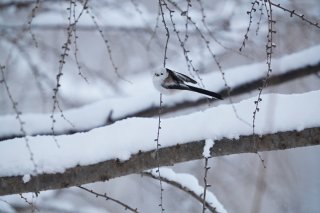 飛ぶためには一度なにかを手放す必要がある 2023.7.23（日）