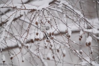 仏では「不倫された側」が責められる？2023.6.18（日）