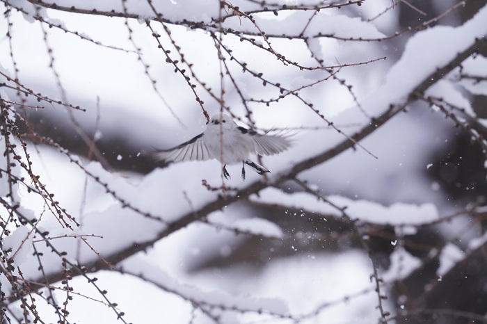 謙虚なんだね（Ｃ）小原玲