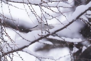 「いま一番欲しいもの」を即答できる？ 2023.7.30（日）
