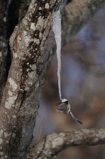 好きな作家と同じ時代を生きる心強さ 2023.8.2（水）