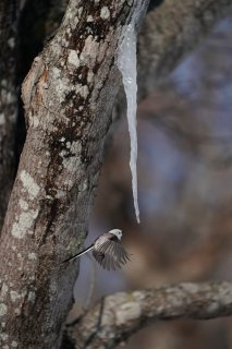 もうさ、スタコラサッサと逃げ出そうよ？ 2023.7.16（日）