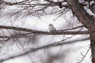 多様性がなにか 小さな子どもはわかってる 2023.7.5（水）
