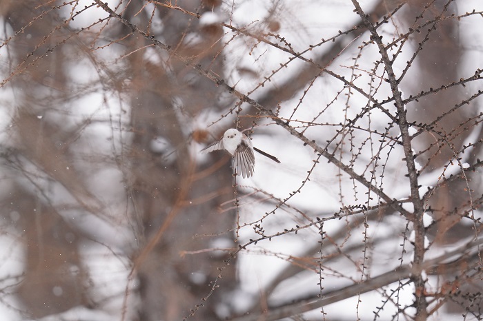 時と場合によるんじゃない？（Ｃ）小原玲