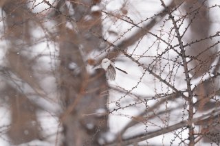 似合わない服を着るのは罪ですか？ 2023.6.28（水）